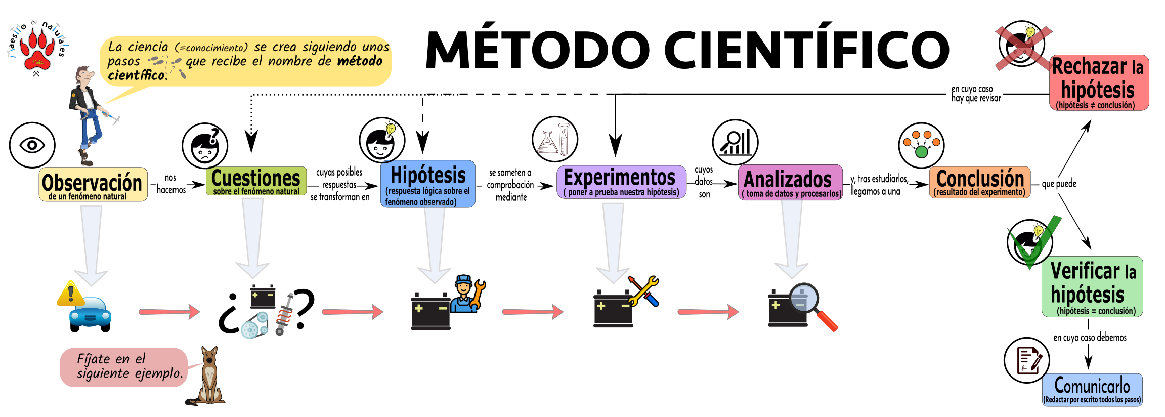 Experimento metodo cientifico ejemplo